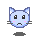 cat21
